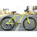Bicicleta de montaña adaptable de alta calidad de la bicicleta MTB del precio bajo 24s